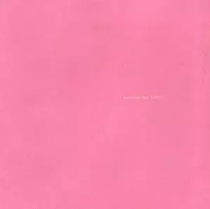 SUNNY DAY REAL ESTATE / サニー・デイ・リアル・エステイト / LP2 (LP / 2009 EDITION) 【解説付、帯付】