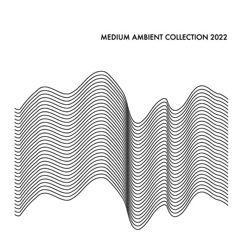 V.A. (MEDIUM) / MEDIUM AMBIENT COLLECTION 2022 WHITE(2LP)
