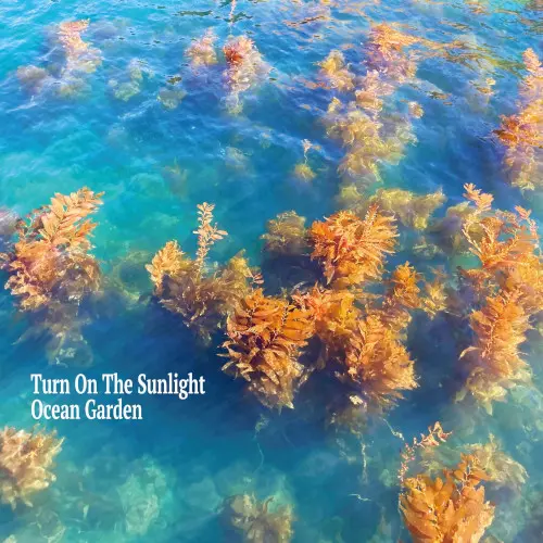 TURN ON THE SUNLIGHT / ターン・オン・ザ・サンライト / Ocean Garden / オーシャン・ガーデン