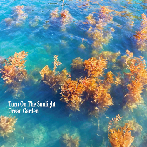TURN ON THE SUNLIGHT / ターン・オン・ザ・サンライト / Ocean Garden / オーシャン・ガーデン(LP)