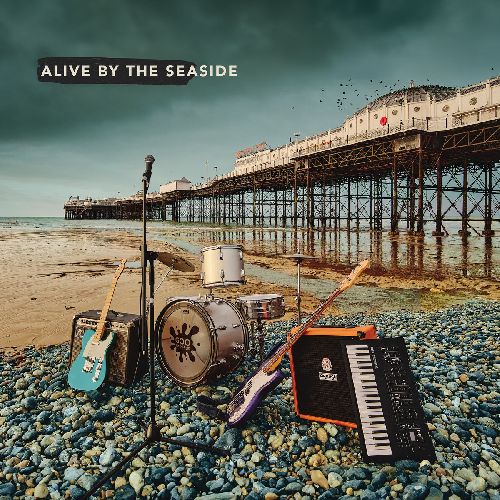 VARIOUS ARTISTS  / ALIVE BY THE SEASIDE (COLORED VINYL)