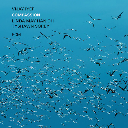 VIJAY IYER / ヴィジェイ・アイヤー / Compassion(2LP)