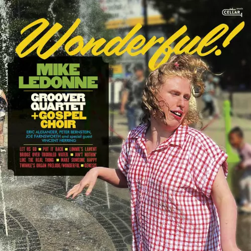 MIKE LEDONNE / マイク・ルドーン / Wonderful