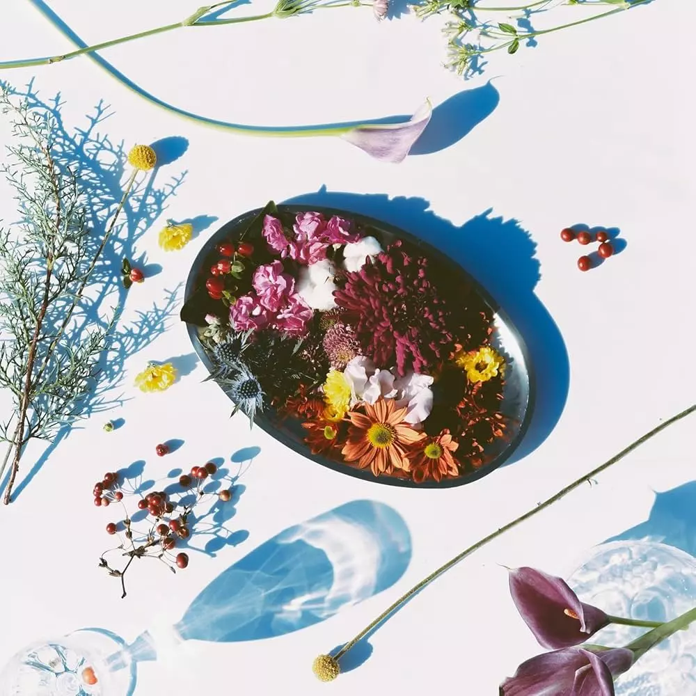 オードブル/shytaupe/シャイトープ｜日本のロック｜ディスクユニオン