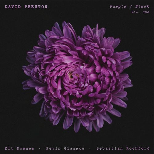 DAVID PRESTON / デイビット・プレストン / Purple-Black Vol.1(LP)