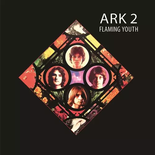 ポップス+ロック(邦楽) FLAMING YOUTH 1200?cb=20200830175707
