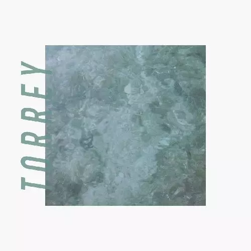 TORREY / トーレイ / TORREY (CD)