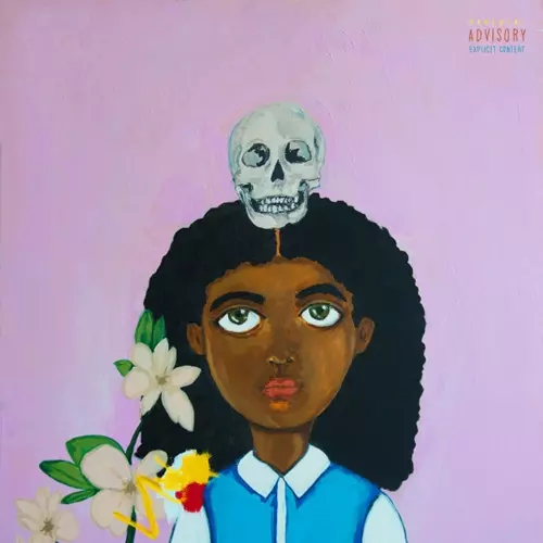 Amazon.co.jp: Noname sundial LP アナログ レコード vinyl : ホビー