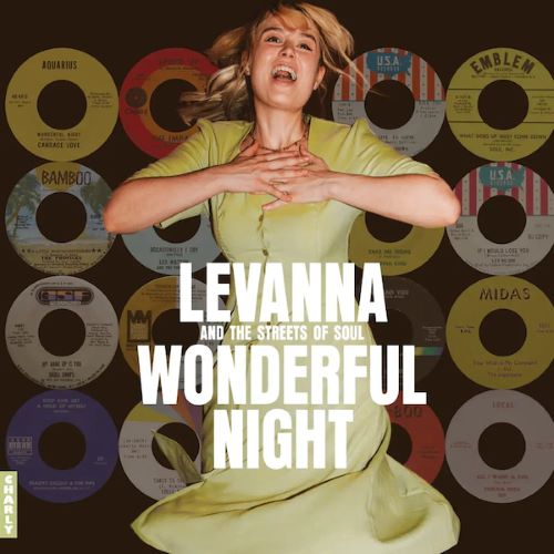 V.A. (WONDERFUL NIGHT CURATED BY LEVANNA) / WONDERFUL NIGHT CURATED BY LEVANNA (LP)