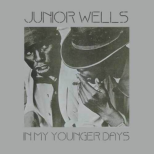 JUNIOR WELLS / ジュニア・ウェルズ / IN MY YOUNGER DAYS (CLEAR VINYL LP)