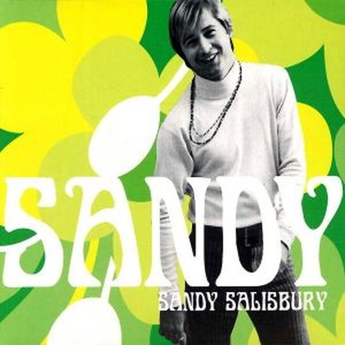SANDY SALISBURY / サンディ・サルスベリー / サンディ