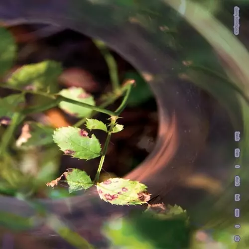 JONNY FROM SPACE / BACK THEN I DIDN’T BUT NOW I DO (LP)