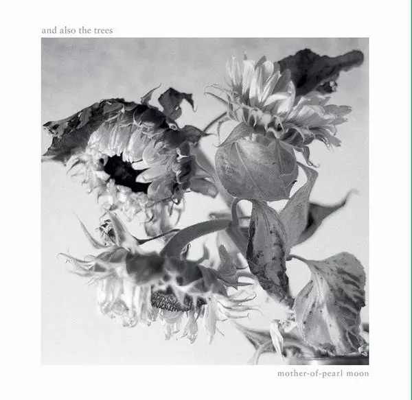 And Also The Trees レコード 2枚セット,ネオサイケ/CURE COCONUTS DISK WEBSTORE / Psychedelic
