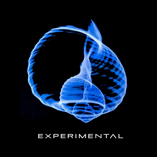 EXPERIMENTAL (PROG: CHL) / HOMONIMO