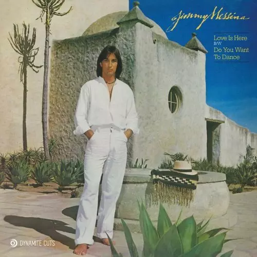 JIM MESSINA / ジム・メッシーナ / LOVE IS HERE (7")