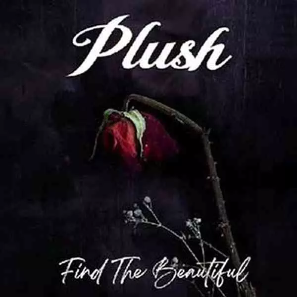 PLUSH (From US/Hard Rock) / FIND THE BEAUTIFUL