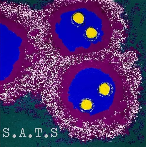 S.A.T.S / S.A.T.S