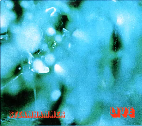 STEAMHAMMER / スティームハマー / LIVE