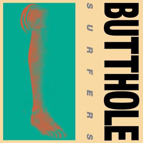 BUTTHOLE SURFERS / バットホール・サーファーズ / REMBRANDT PUSSYHORSE (LP)