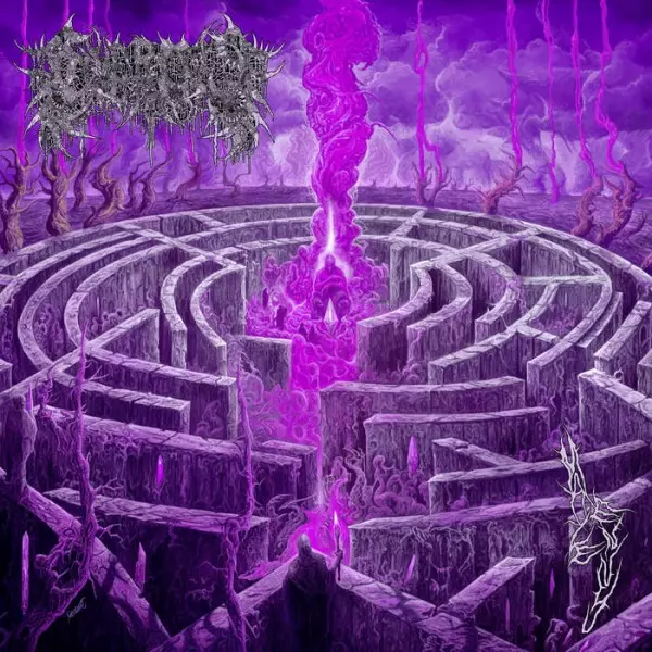 CIVEROUS / MAZE ENVY