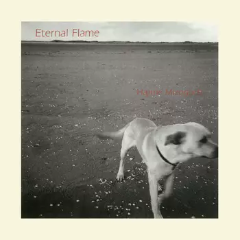 HAJIME MIZOGUCHI / 溝口肇 / Eternal Flame(LABEL ON DEMAND)