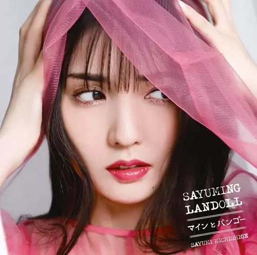 SAYUMI MICHISHIGE / 道重さゆみ商品一覧｜JAPANESE ROCK・POPS