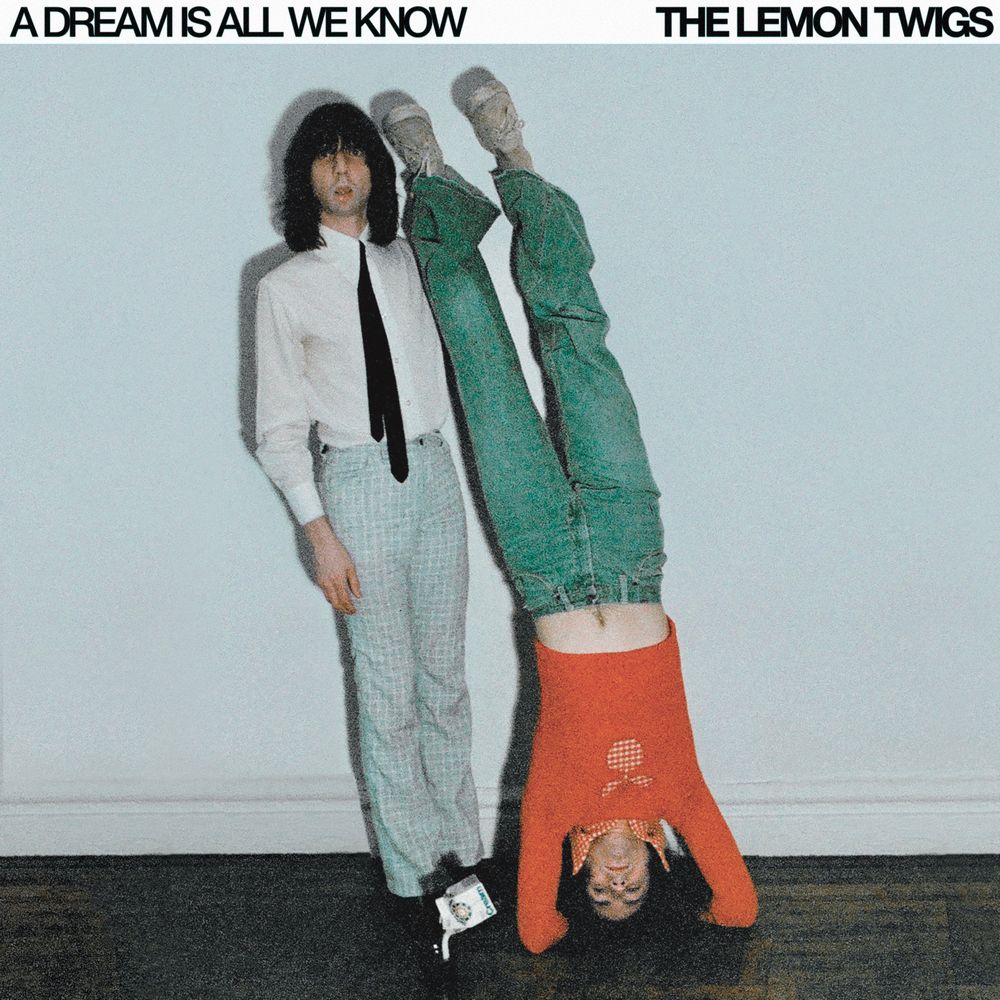 LEMON TWIGS / レモン・ツイッグス / A DREAM IS ALL WE KNOW (LP - COLOUR)