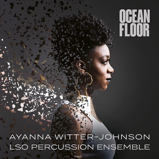 GWILYM SIMCOCK / ギレルモ・シムコック / AYANNA WITTER-JOHNSON:OCEAN FLOOR SUITE(LP)