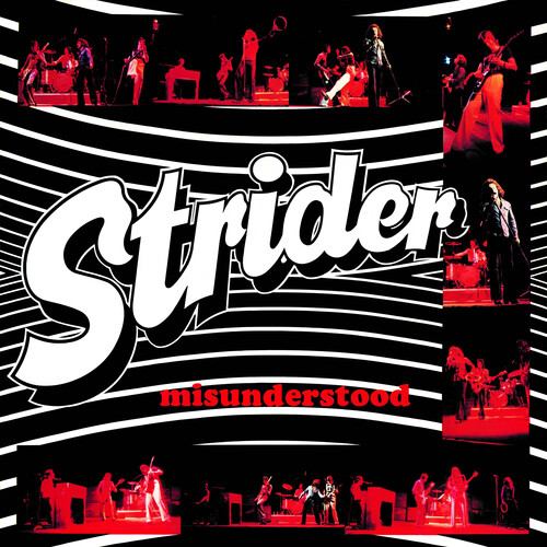 STRIDER / ストライダー / MISUNDERSTOOD - REMASTER