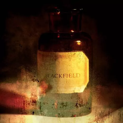 BLACKFIELD / ブラックフィールド / BLACKFIELD