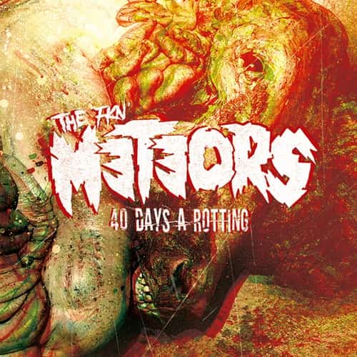 METEORS / メテオーズ / 40 DAYS A ROTTING (LP)