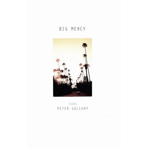 PETER GALLWAY / ピーター・ゴールウェイ / BIG MERCY (BOOK)