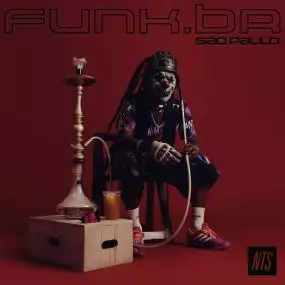 V.A. (FUNK.BR) / オムニバス / FUNK.BR - SAO PAULO (2LP)