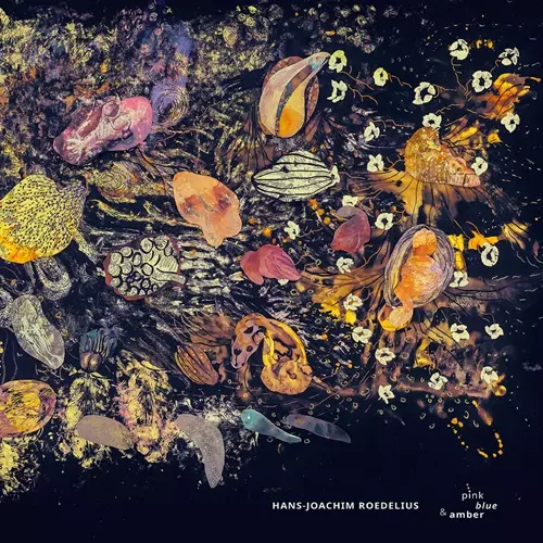 HANS-JOACHIM ROEDELIUS / ハンス・ヨアヒム・ローデリウス商品一覧