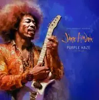 JIMI HENDRIX レコード　ジミヘンドリクス JIMI HENDRIX (ジミ・ヘンドリックス) (LP2枚組 180g重量盤) タイトル