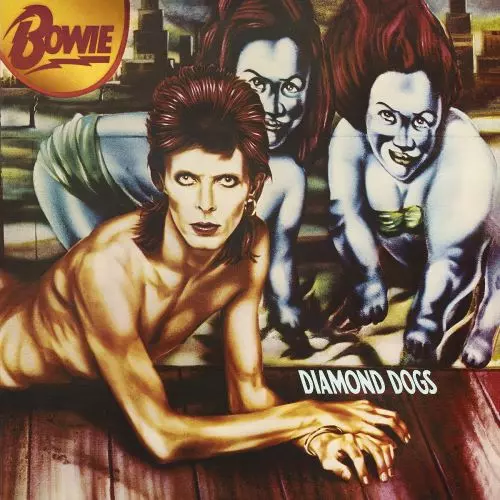 洋楽 Hummingbird Dirmond Nights Hummingbird – Diamond Nights – Vinyl (LP, Album), 1977 [r9543366