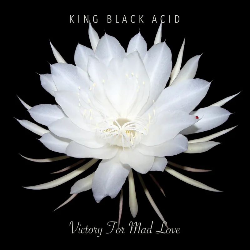 KING BLACK ACID / VICTORY FOR MAD LOVE [LP] (LIMITED, INDIE-EXCLUSIVE)