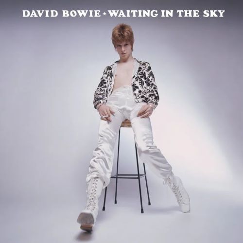 DAVID BOWIE / デヴィッド・ボウイ / WAITING IN THE SKY (BEFORE THE STARMAN CAME TO EARTH) [LP] (180 GRAM, LIMITED, INDIE-EXCLUSIVE)