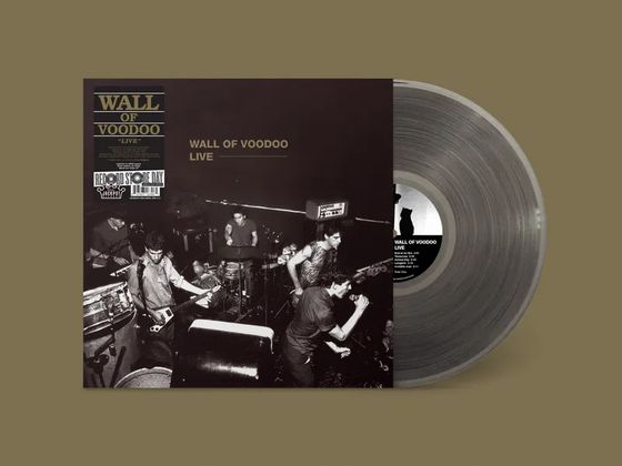 WALL OF VOODOO / LIVE 1979 [LP] (BLACK ICE VINYL, LIMITED, INDIE-EXCLUSIVE)