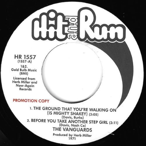 VANGUARDS (SOUL/US) / GROUND THAT YOU'RE WALKING ON (7")