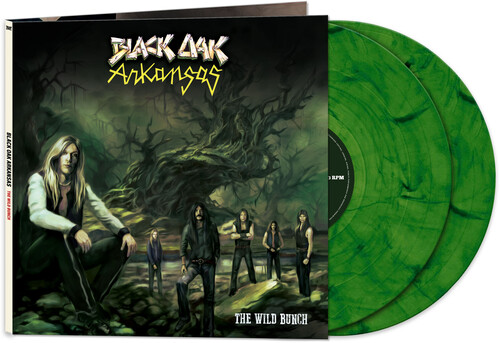 BLACK OAK ARKANSAS / ブラック・オーク・アーカンソー / THE WILD BUNCH (LP)