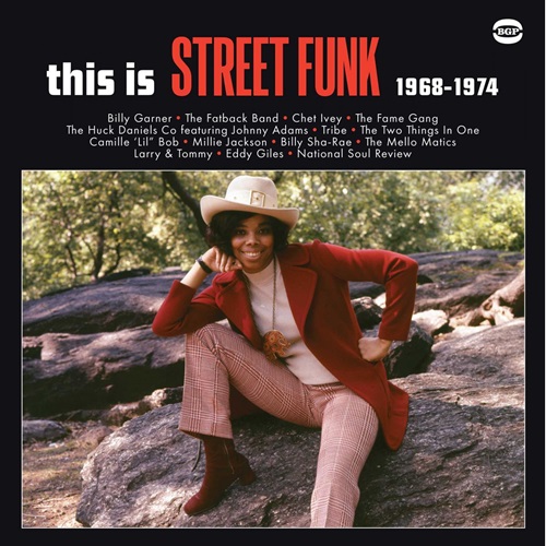 V.A. (THIS IS STREET FUNK) / THIS IS STREET FUNK 1968-1974 (LP)