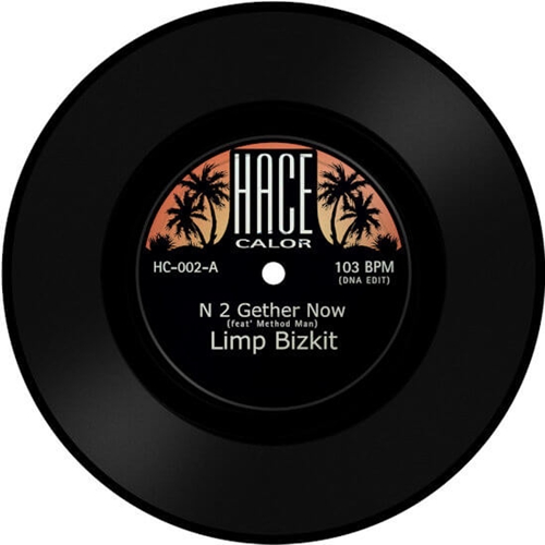 LIMP BIZKIT / リンプ・ビズキット商品一覧｜OLD ROCK｜ディスクユニオン・オンラインショップ｜diskunion.net