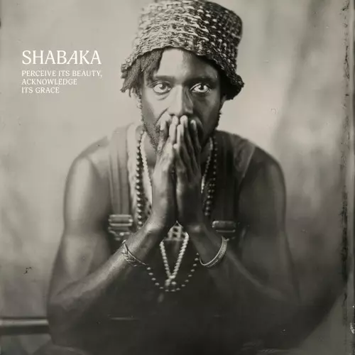 SHABAKA (SHABAKA HUTCHINGS) / シャバカ (シャバカ ・ハッチングス) / Perceive its Beauty, Acknowledge its Grace(LP)