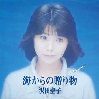 SHOKO SAWADA / 沢田聖子商品一覧｜HIPHOP / 日本語RAP