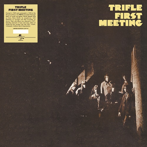 TRIFLE / トライフル / FIRST MEETING: 500 COPIES LIMITED VINYL
