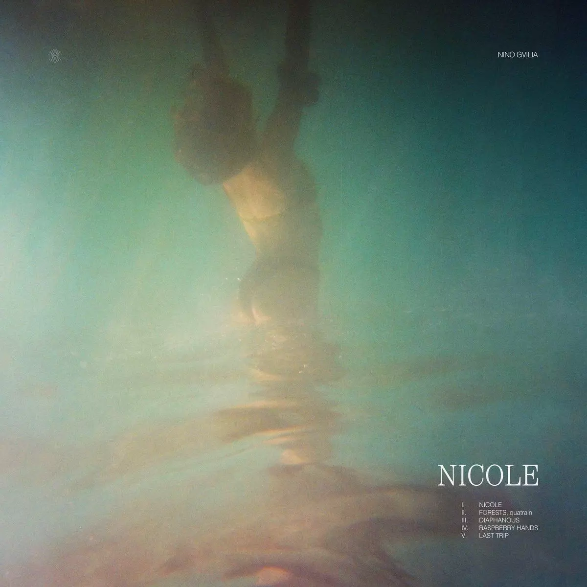 NINO GVILIA / ニーノ・グヴィリア / NICOLE / OVERWHELMED BY THE UNEXPLAINED