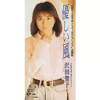 SHOKO SAWADA / 沢田聖子商品一覧｜JAPANESE ROCK・POPS / INDIES