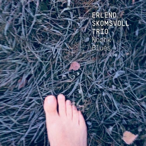 ERLEND SKOMSVOLL / Noshk Blues(LP)