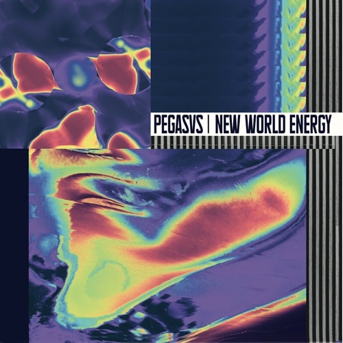 PEGASVS / NEW WORLD ENERGY